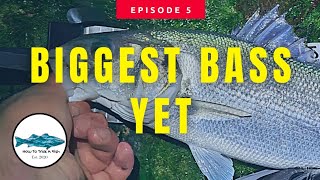 Lure fishing for bass UK - Episode 5 - BIGGER BASS screenshot 1