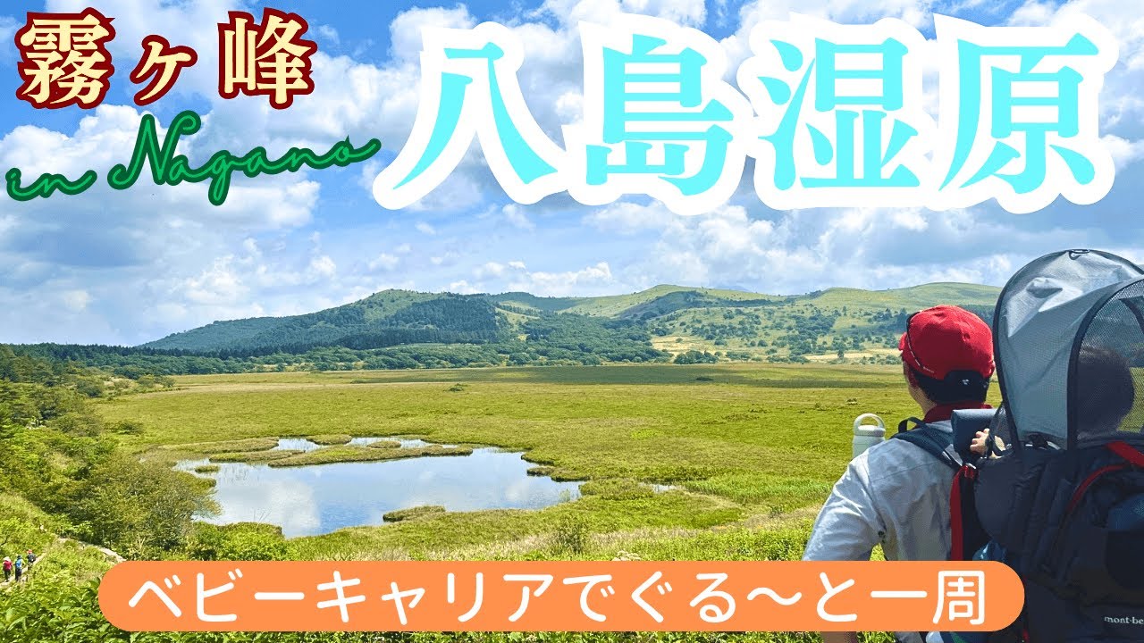 【八島湿原】美しい湿原に感動🥹自然豊かでお花の宝庫でした🌷