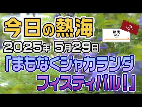 今日の熱海「まもなくジャカランダフィスティバル！」（20250529）
