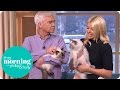 Holly Brings in Her Adorable Kittens for Some Cat Training | This Morning