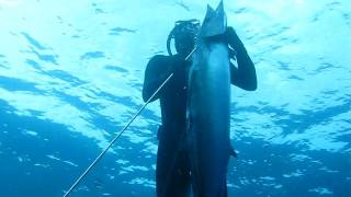 MVI_2622.AVI