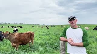 Jason Gruenenfelder GrassBased Dairy