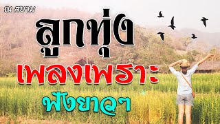 ลูกทุ่งเพลงเพราะฟังยาวๆ ชุดที่ 7 | ศรเพชร,อ๊อด,เอกชัย,เสรี