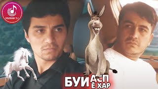 Буи Хайвон Мекунад Мошин | Сахначаи Нав