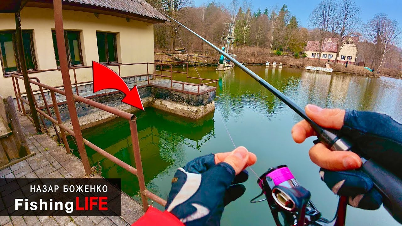 Трофей 40КГ та Окуні як мізинець😂 - Рибалка 2025