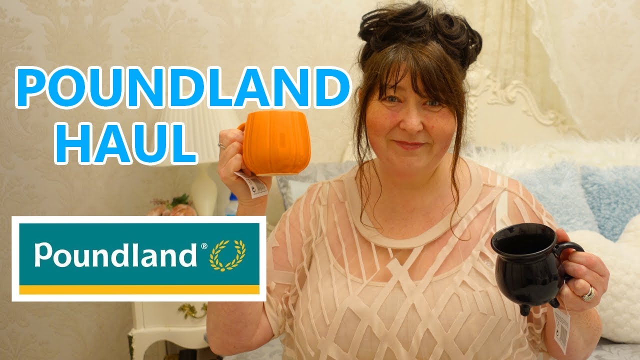 POUNDLAND HAUL OCTOBER 2020 *NEW IN*