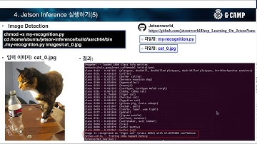 [Jetson Nano x Deep Learning 딥러닝] 18강  Jetson Inference