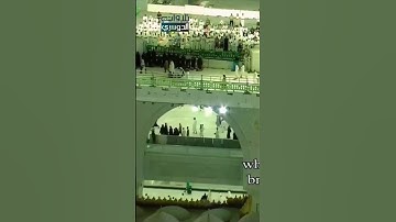 ألم تر كيف ضرب الله مثلا كلمة طيبة ~ تلاوة تأسر الأفئدة للشيخ ياسر الدوسري-تهجد ليلة 29 رمضان 1443هـ
