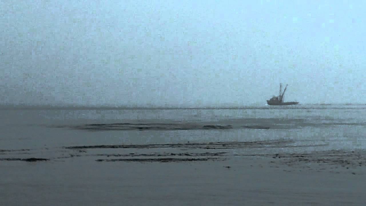 Orcas hunt down a porpoise off Point Adolphus, Chichagof Island, Alaska