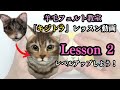 ②【キジトラ】レッスン動画　#羊毛フェルト　＃羊毛フェルト猫　＃羊毛フェルト犬　#羊毛フェルト講座　＃羊毛フェルト作り方　#リアル羊毛フェルト