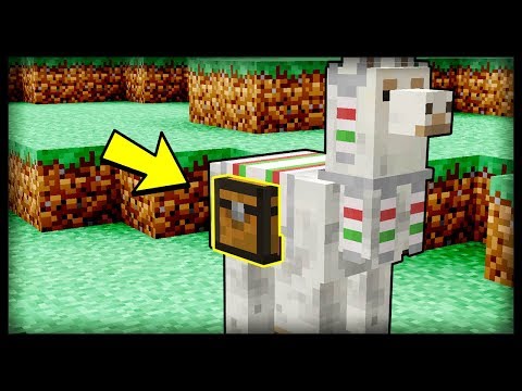 Video: Làm thế nào để minecraft llama?