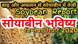 जोरदार है सोयाबीन भविष्य | Soybean Mandi Bhav 2019-20 | Kheti Ki Shaan