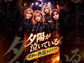 昭和が熱い!『夕陽が泣いている』熱狂ライブ #昭和歌謡 #かぐや48