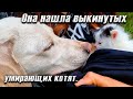 Жуть, котята выкинуты за город в пакете, один уже погиб. Случайно нашла при выгуле собаки.