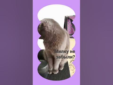 Милка ️ - YouTube