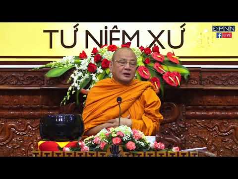Video PHƯƠNG PHÁP THỰC HÀNH TỨ NIỆM XỨ THEO KINH ĐIỂN PALI -... - youtube