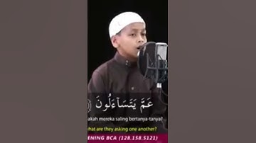 آيات بينات من الذكر الحكيم تريح القلوب