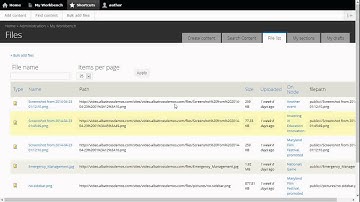 Attaching and Linking to Documents