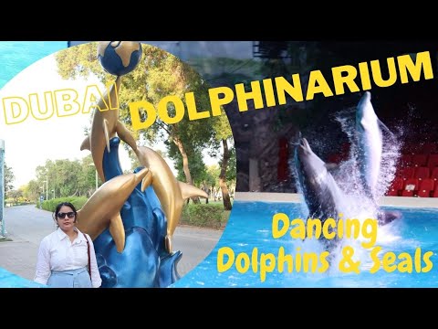 Dubai Dolphinarium 2021 | one of the best indoor attraction in UAE | Seal Show