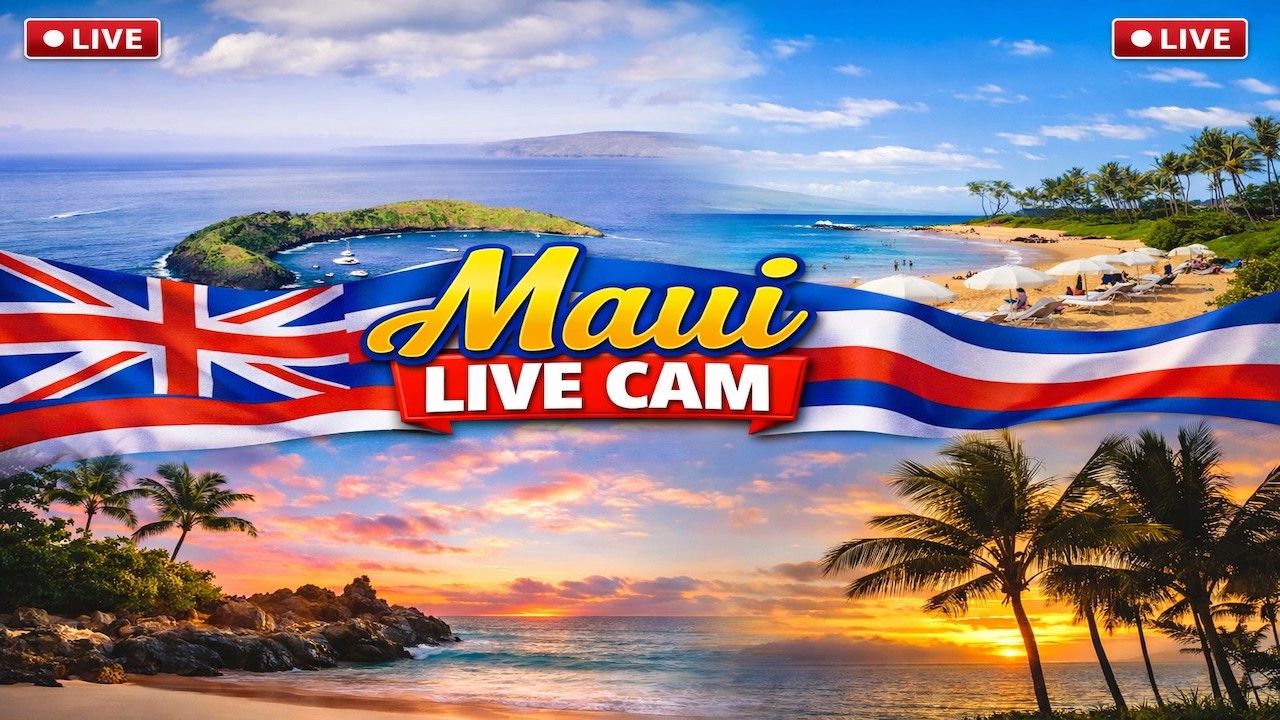 Live camera view of Maui - AlohaLiveCam in Maui, United States