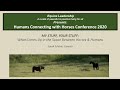 Humans Connecting with Horses Conference: MY STUFF, YOUR STUFF