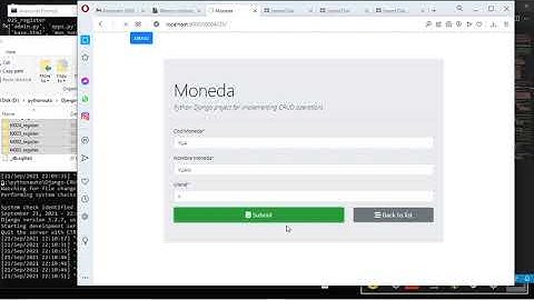 python django, auto generator of django code II