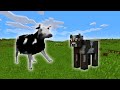 polish cow in minecraft