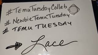 (Newbie)TemuTuesday(Collab) prompt: 《《LACE》》