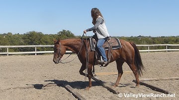 Danceaholic 008 - ranch versatility! - ValleyViewRanch.net