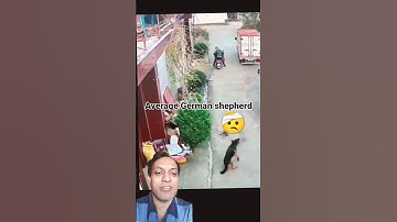 Mind-Blowing Gadgets and ToolsRevealed! green screen #shorts​ #gadgets245​ #trending #puppy