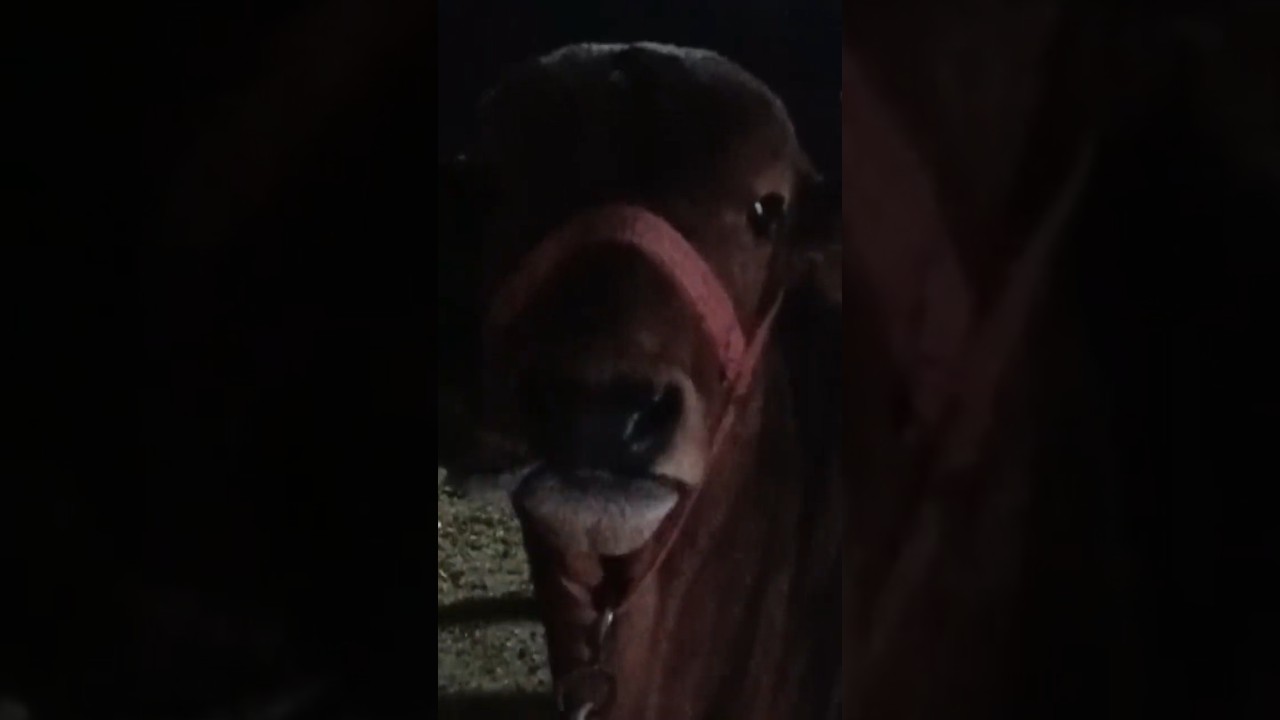 “Day 2, grind on 💪 Vlog journey continues 🚀”