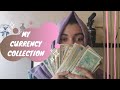Fall In Love With My CURRENCY COLLECTION | Being CKR