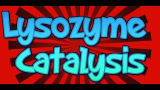 Lysozyme Catalysis