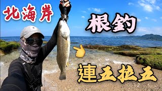 2020.06.XX 北海岸【根釣】究竟是什麼魚讓我連五拉五還越來 ... 