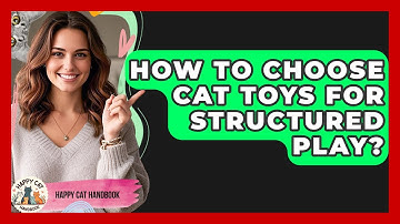 How To Choose Cat Toys For Structured Play? - Happy Cat Handbook