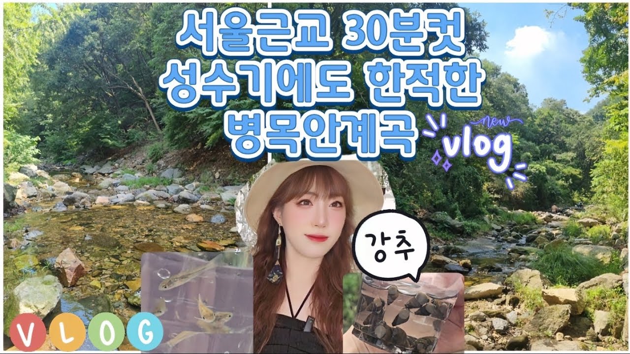 서울근교 수도권 계곡추천 경기도 안양 수리산 병목안계곡⛺️물놀이할수있고 물고기랑 다슬기도 잡을수있는 아이랑 함께가기 좋은 여름계곡🐚