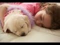 犬があなたに寄り添って眠ろうとしてくる２つの理由【感涙】