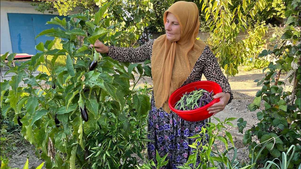 BAHÇEMDEN TAZE FASULYE~ACI BİBER KIŞ HAZIRLIĞI~Köyde tempolu bir gün