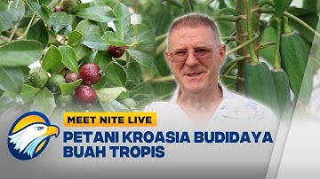Petani Kroasia Menembus Batas Iklim, Tanaman Teropis Tumbuh di Jantung Eropa - [Meet Nite Live]