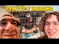 IRL СТРИМ С ЭВЕЛОНОМ | РУМТУР У ЭВЕЛОНА | НОВАЯ ДЕВУШКА ЖОЖО | ЖОЖО У ЭВЕЛОНА | Gensyxa Stream