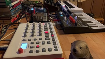 Oscillator Sink patch on the Arturia MicroFreak, NTS1 Arp