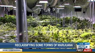 U of M Cannabis Research Center: medical marijuana scheduling change could expand research opport...