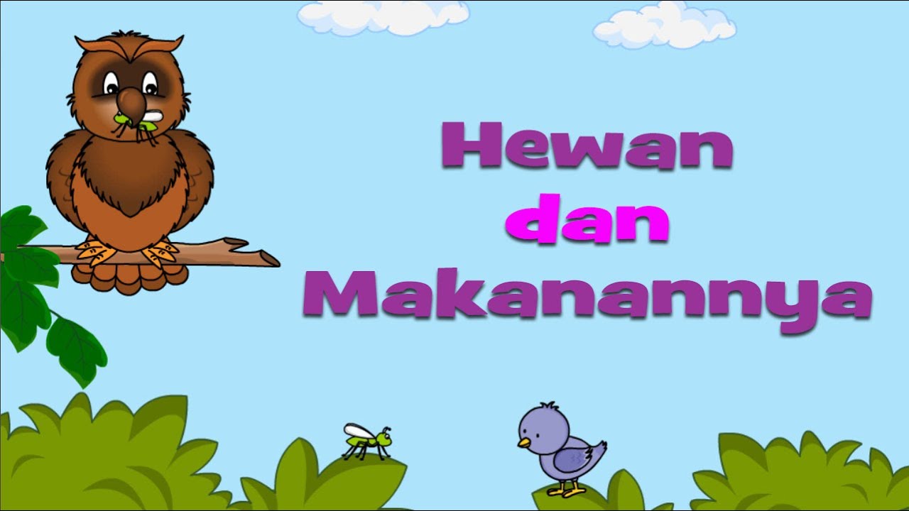 Hewan Dan Makanannya YouTube