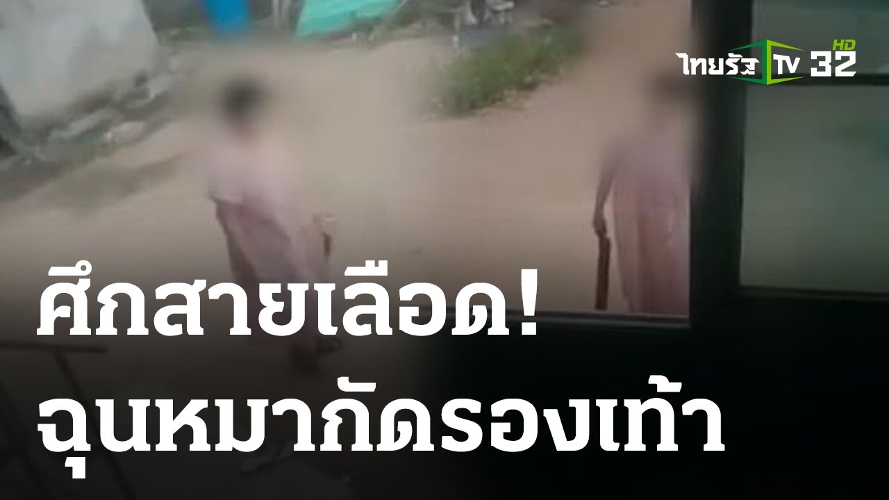 พี่สาวโต้ ถือไม้ตีหมา ฉุนถูกกัดร้องเท้า | 13 มิ.ย. 66 | ข่าวเช้าหัว ... พี่สาวโต้ ถือไม้ตีหมา ฉุนถูกกัดร้องเท้า | 13 มิ.ย. 66 | ข่าวเช้าหัว ...