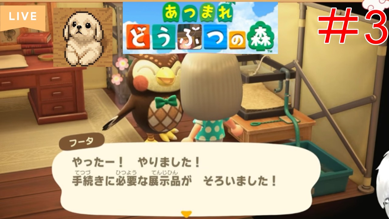【オンラインゲーム実況配信】超まったりどうぶつの森#3　マイホームと博物館の完成を待ち望む。初めての明るい時間の配信！金利なしローンとか神すぎる。たぬき開発の経営、大丈夫か？