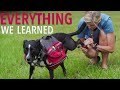 Everything I Learned From Backpacking With a Dog