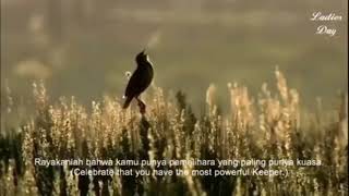 Haneen Akira - Rayakanlah
