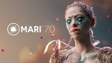 Mari 7.0 | Features Overview