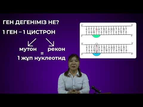 Бейне: Гендердің реттелуі жасушаның мамандануымен қалай байланысты?