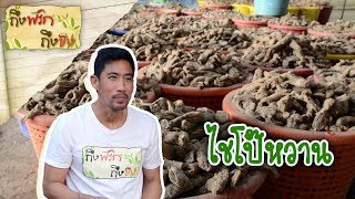 ไชโป๊หวาน | ถึงพริกถึงขิง 21-02-63